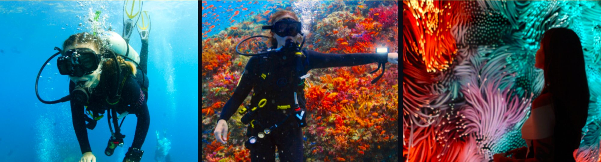 Ocean deep — coral survey dive